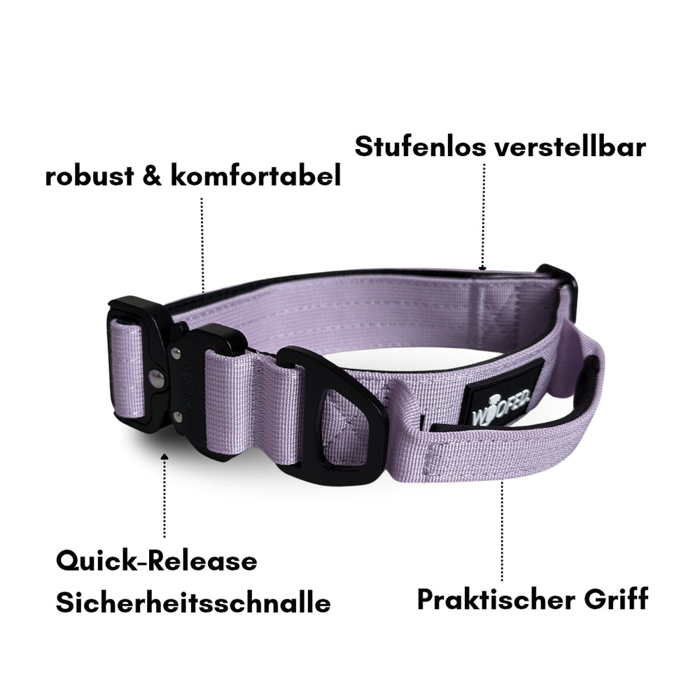 Verstellbares lila Nylon Halsband mit Griff, robust und leicht, mit Quick-Release Schnalle für optimale Sicherheit.