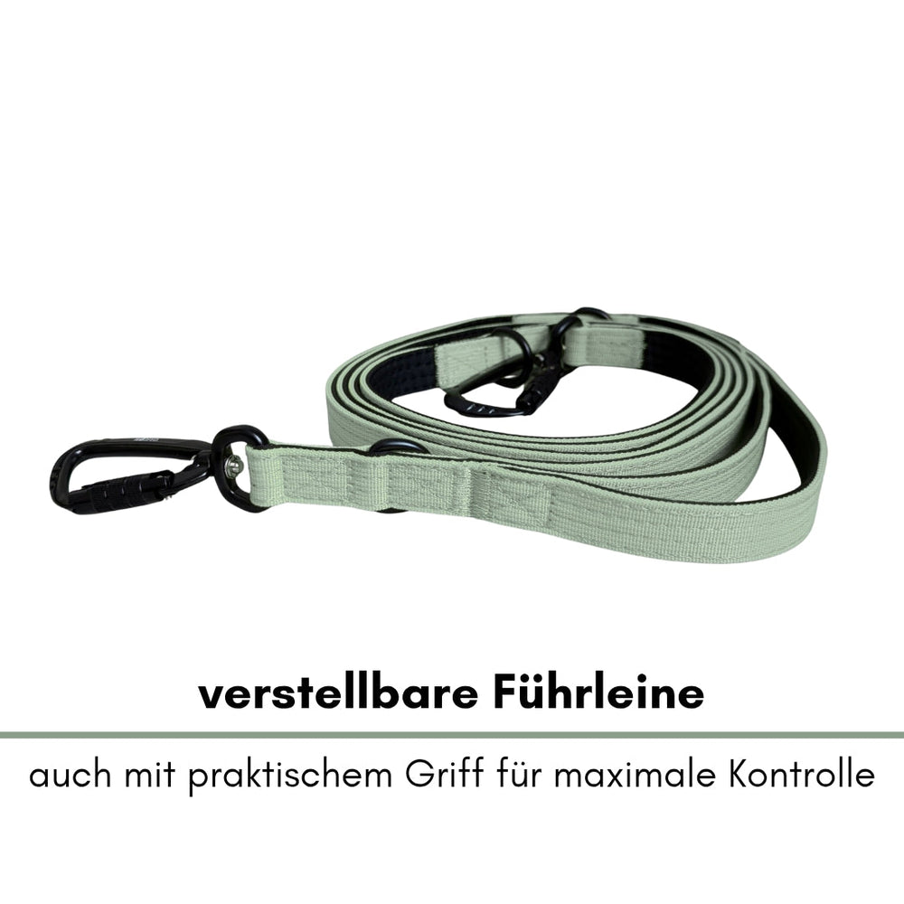 Verstellbare hellgrüne Führleine aus Nylon mit Sicherheitskarabiner und praktischem Griff für optimale Kontrolle.