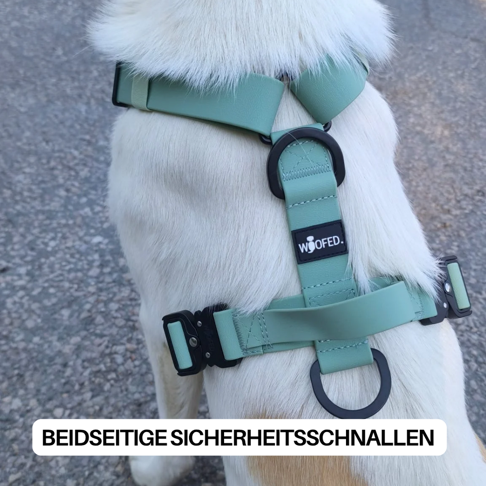 Mintgrünes Y-Hundegeschirr WOOFLEX® 4-fach verstellbar mit Griff und Sicherheitsschnallen. Ideal für aktive Hunde.