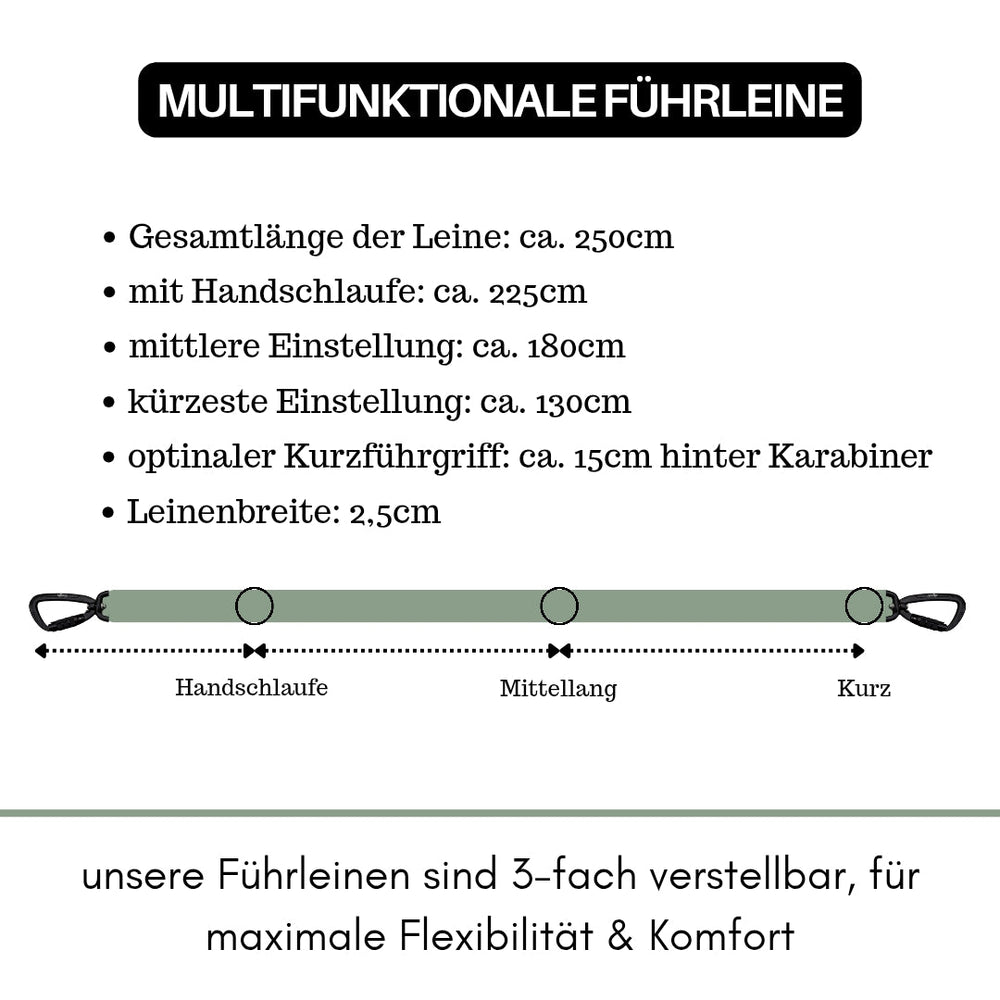 Multifunktionale NYLON Führleine mit Sicherheitskarabiner, 250 cm lang, ideal für Spaziergänge mit Ihrem Hund.