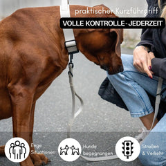 Brauner Hund sitzt auf dem Boden, gehalten mit WOOFLEX® Führleine und Sicherheitskarabiner, Person interagiert im Hintergrund.