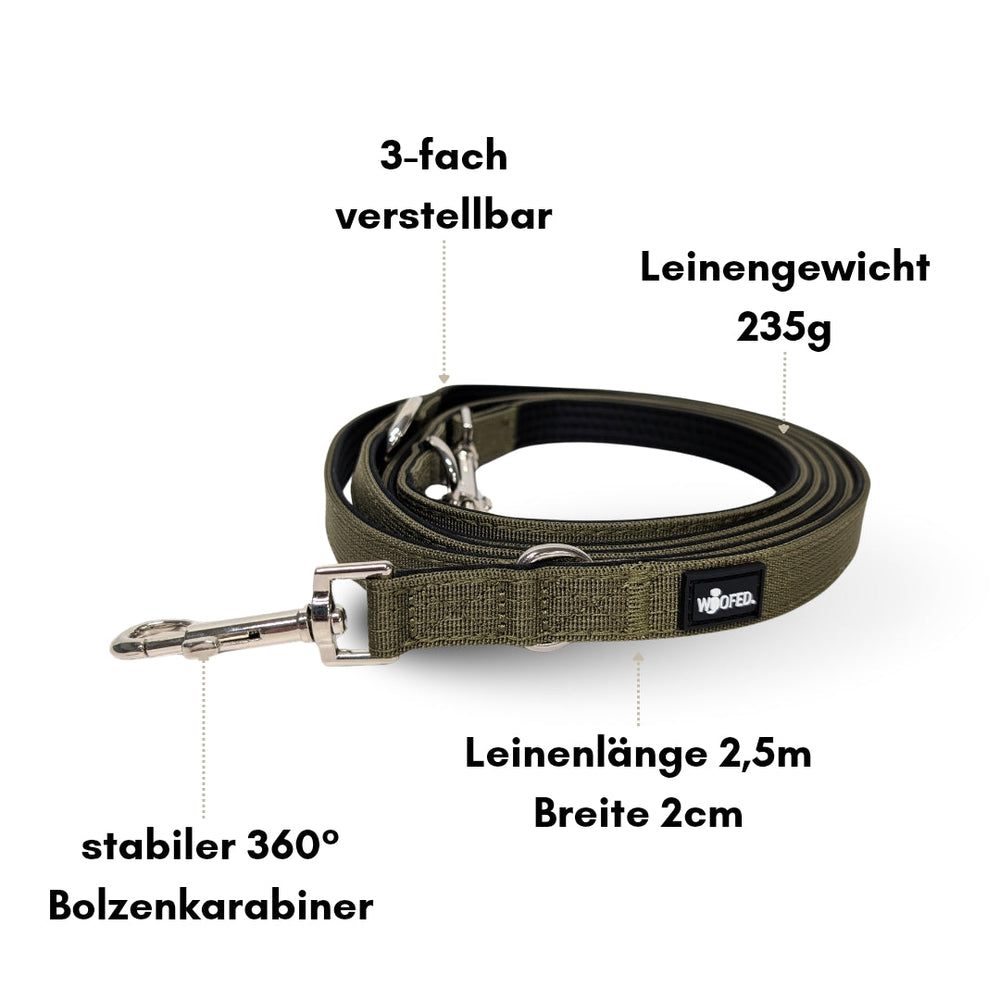 Grüne nylon Hundeleine, 2,5 m lang, 2 cm breit, dreifach verstellbar, leicht und stabil, ideal für Hundebesitzer.