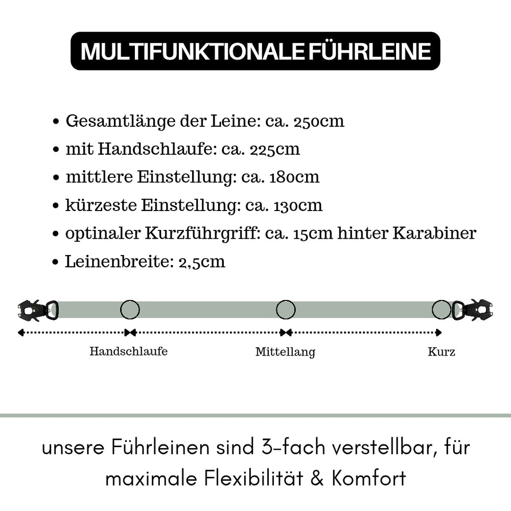 Multifunktionale Nylon-Führleine mit Froschkarabiner, einstellbar auf 130 cm, 180 cm und 250 cm Länge.