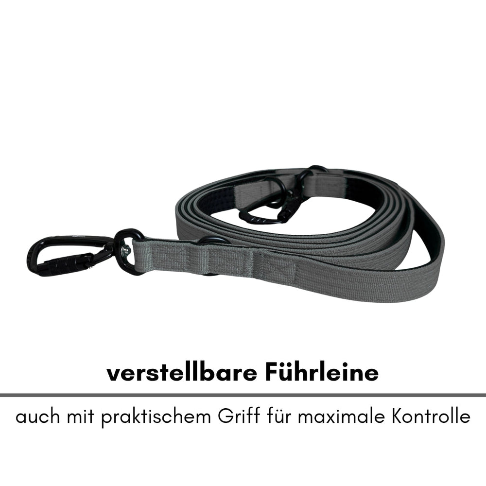 Verstellbare graue Führleine aus Nylon mit Sicherheitskarabiner für optimale Kontrolle und Komfort beim Spazierengehen.