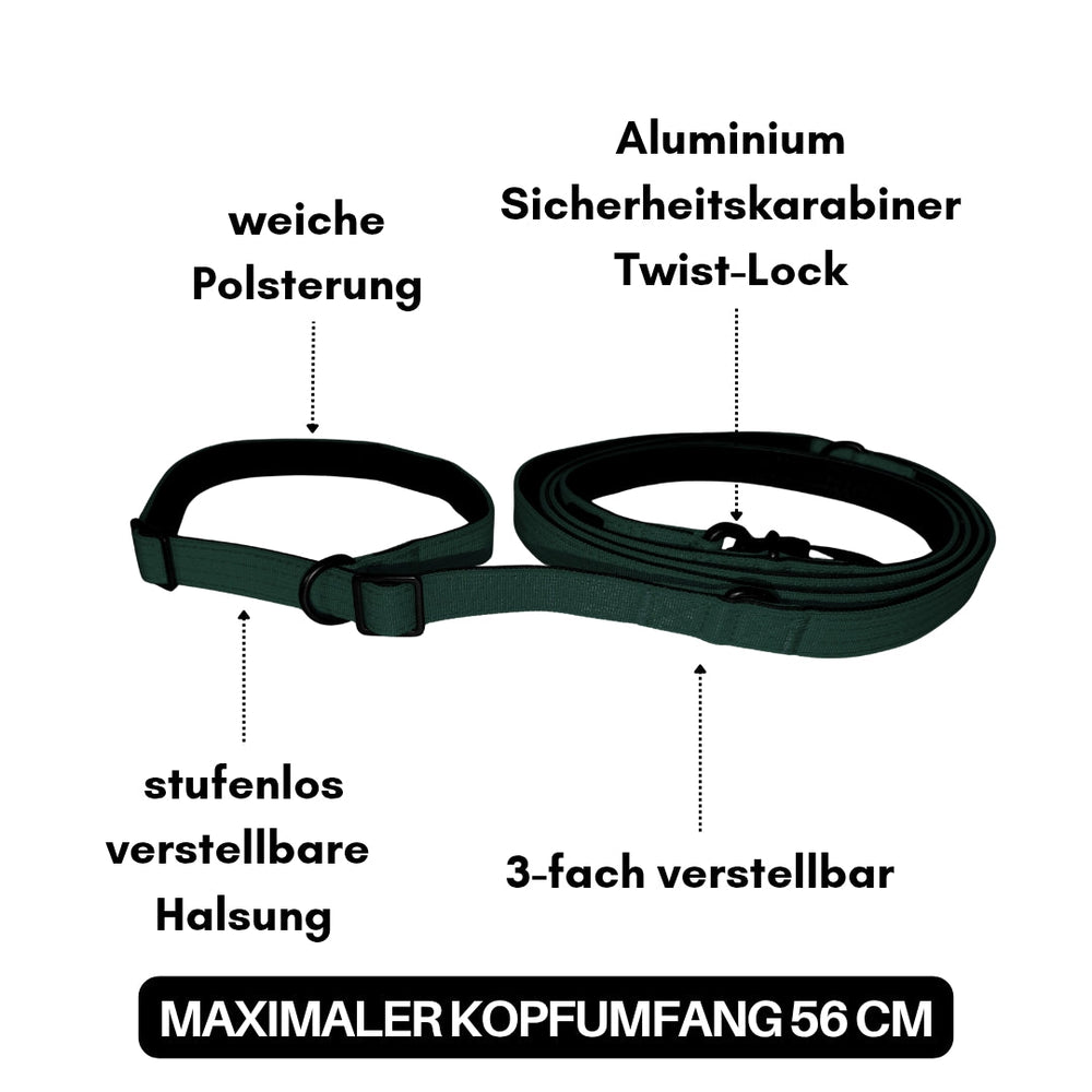 Nylon Retrieverleine von WOOFED mit verstellbarer Halsung, Twist-Lock Karabiner und weicher Polsterung in Dunkelgrün.