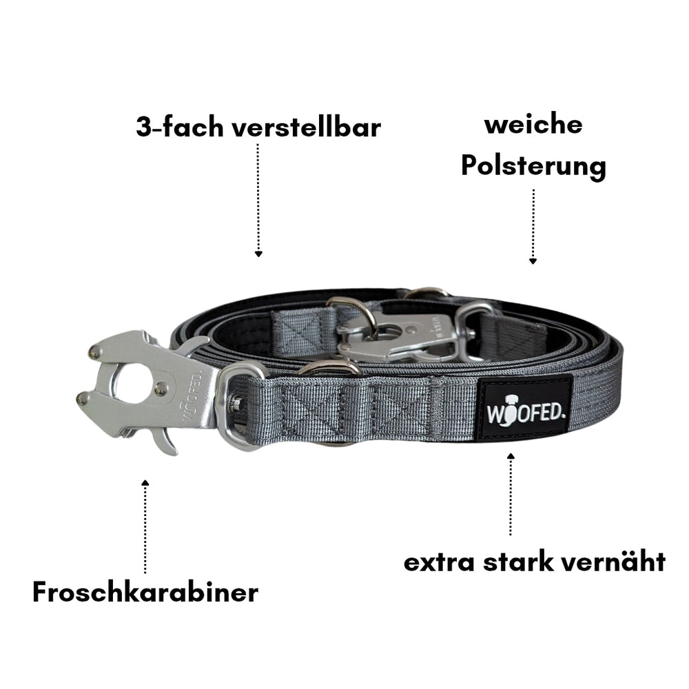 Führleine aus Nylon mit Froschkarabiner, verstellbar und gepolstert für optimalen Komfort und Sicherheit für Hunde.