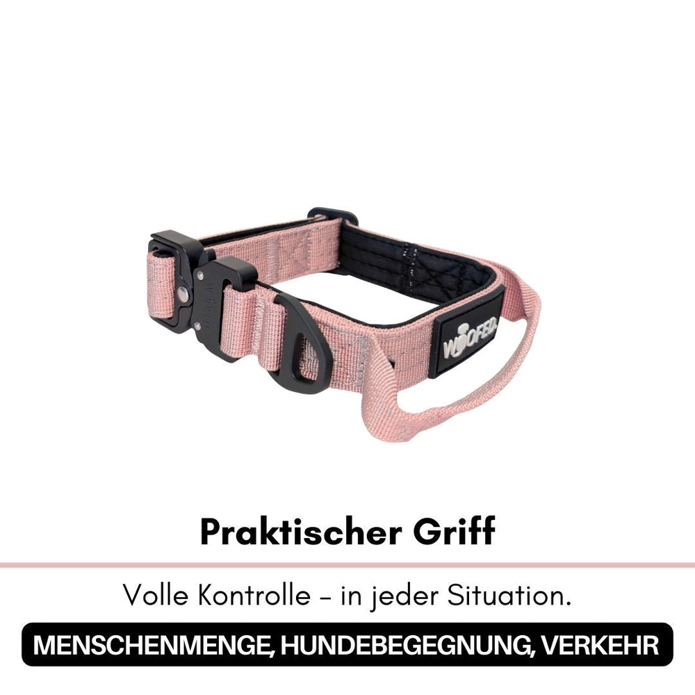 Ultraleichtes Nylon Halsband in Rosé mit praktischem Griff für optimale Kontrolle und Stabilität bei Hundespaziergängen.