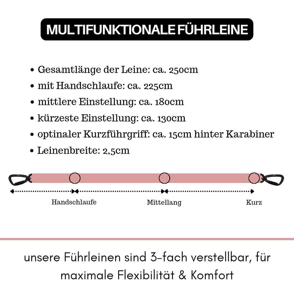 Multifunktionale, dreifach verstellbare Führleine aus Nylon mit Sicherheitskarabiner und Handschlaufe für optimalen Komfort.