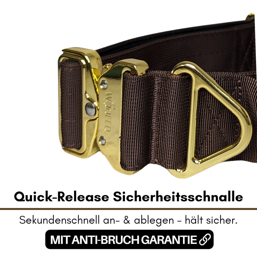 Braunes Nylon-Halsband für kleine Hunde mit goldfarbener Quick-Release-Schnalle, sicher und einfach anlegbar.