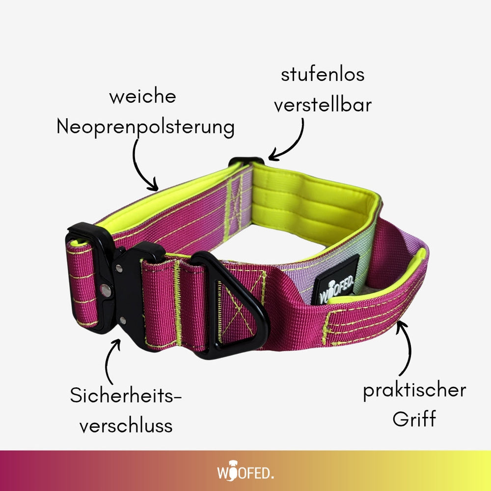 Halsband für kleine Hunde aus Nylon in Pink und Gelb mit Neoprenpolsterung und sicherem Aluverschluss.