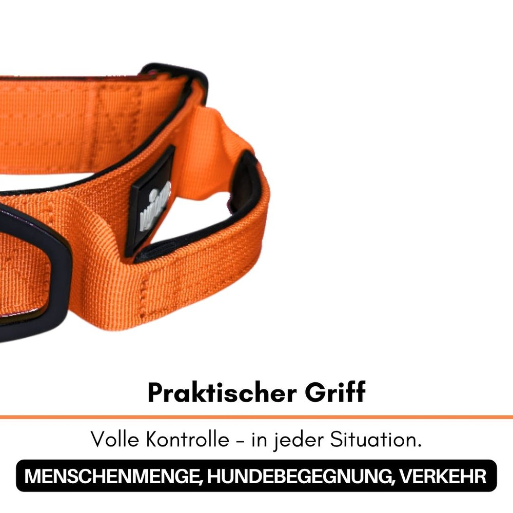 Ultraleichtes orangenes Nylon-Hundehalsband mit praktischem, verstärktem Griff für bessere Kontrolle in Menschenmengen.