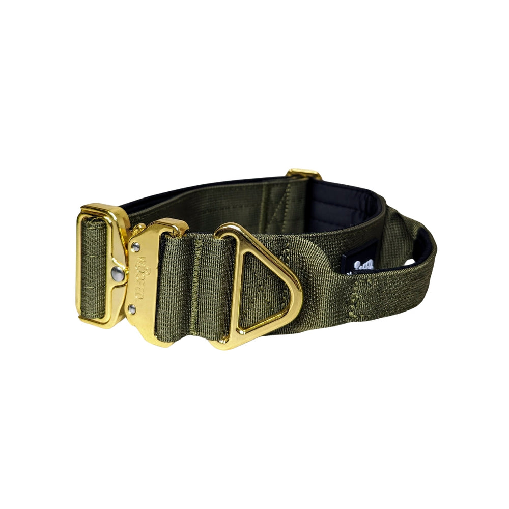 Halsband für kleine Hunde aus robuster Nylonwebung in Olivgrün mit goldenen Aluverschlüssen und D-Ring.