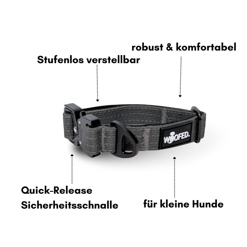 Schwarzes, verstellbares Nylon-Halsband für kleine Hunde mit Griff und Sicherheits-Schnalle, ultraleicht und komfortabel.