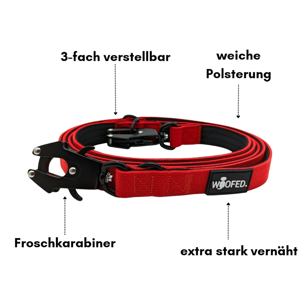 Rotes, verstellbares Hundehalsband mit weicher Polsterung und robustem Froschkarabiner, ideal für aktive Hunde.