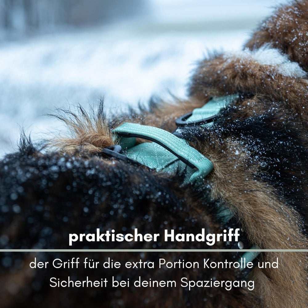 Y-Hundegeschirr mit praktischem Handgriff für bessere Kontrolle und Komfort beim Gassigehen.
