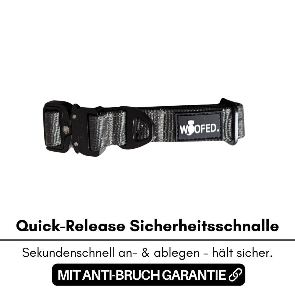 Ultraleichtes Nylon-Halsband mit grauer Quick-Release Schnalle und strapazierfähigem Verschlussmechanismus.