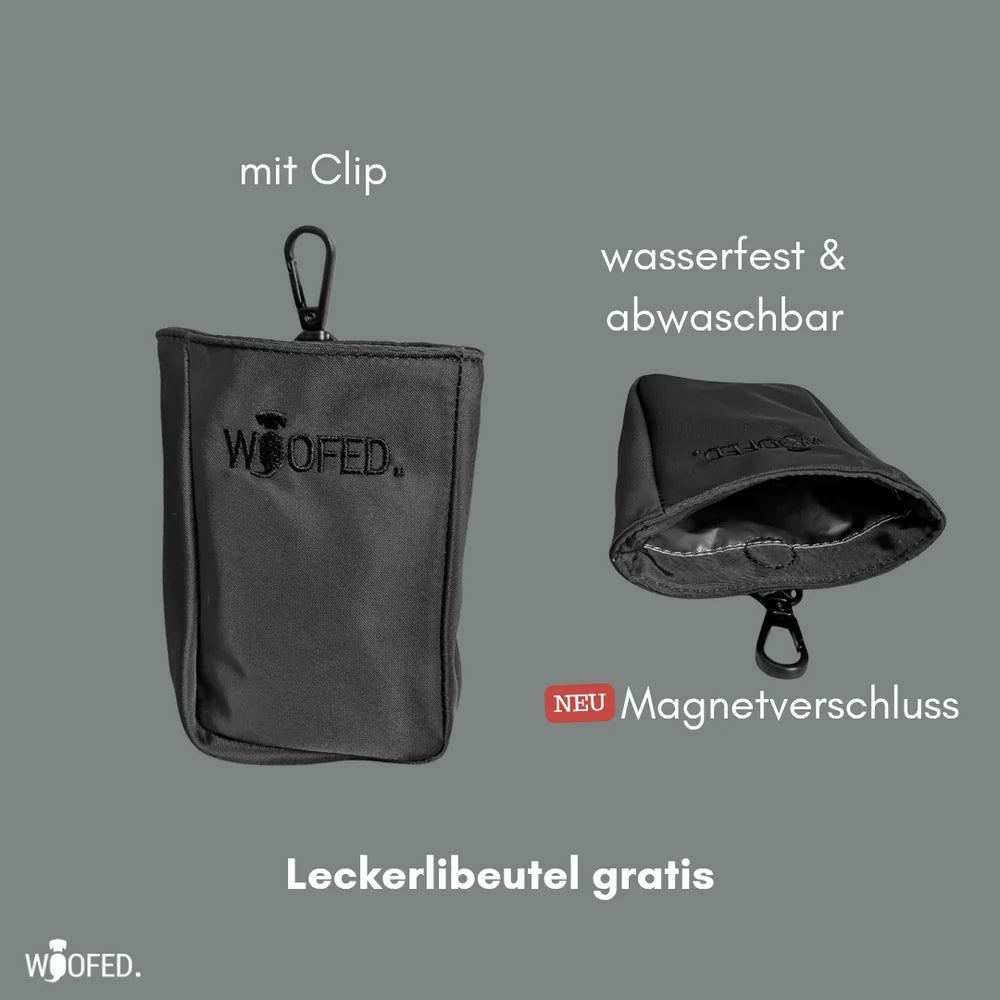 Schwarze, wasserfeste Multifunktionstasche von WOOFED als Bauchtasche und Schultertasche mit Magnetverschluss.