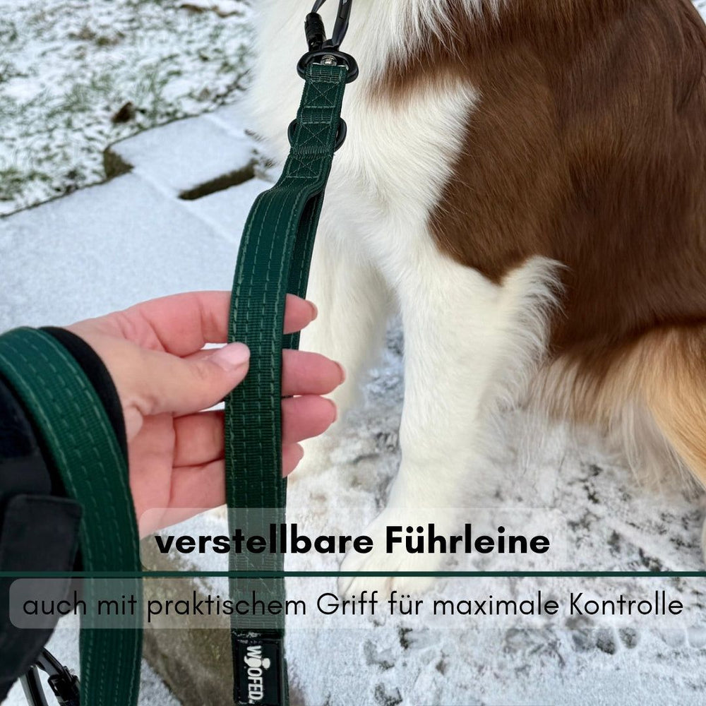 Verstellbare grüne Nylon-Führleine mit Sicherheitskarabiner, gehalten von einer Person neben einem Hund im Schnee.