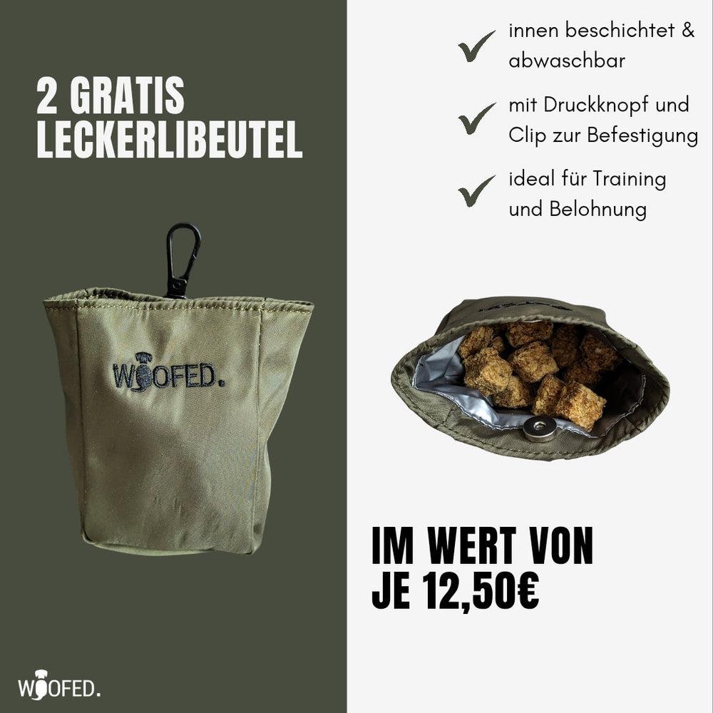 Multifunktionale Gassitasche von WOOFED mit zwei abwaschbaren Leckerlibeuteln für Hundetraining und Spaziergänge.