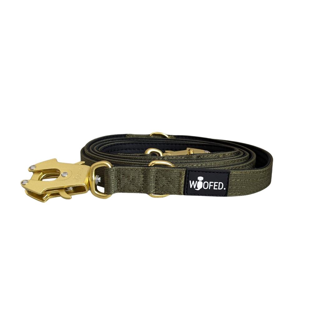 Hunde-Leine aus Olivgrünem Nylon mit goldenem Karabiner und gepolsterter Oberfläche für starken Halt und Komfort.