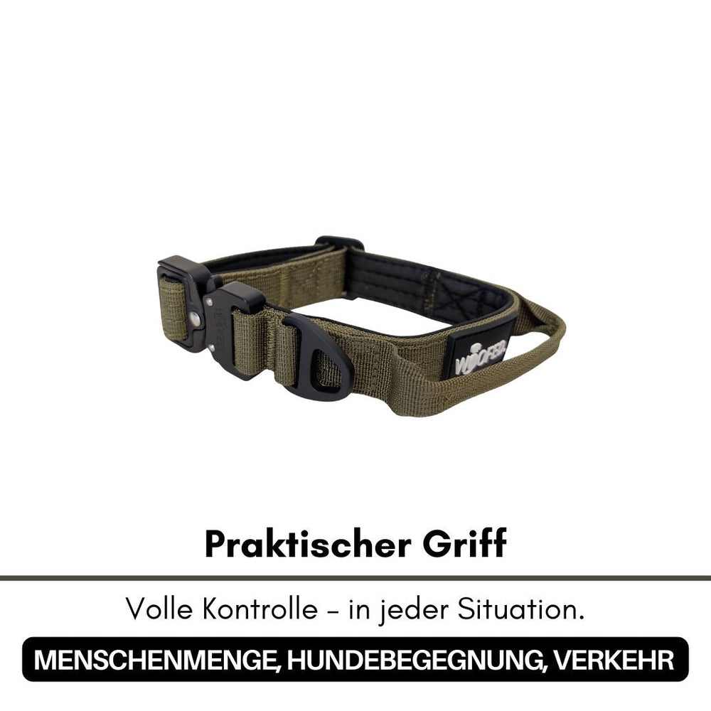 Olivgrünes Nylon-Hundehalsband mit stabilen Griff und Clipverschluss für optimale Kontrolle und Komfort.
