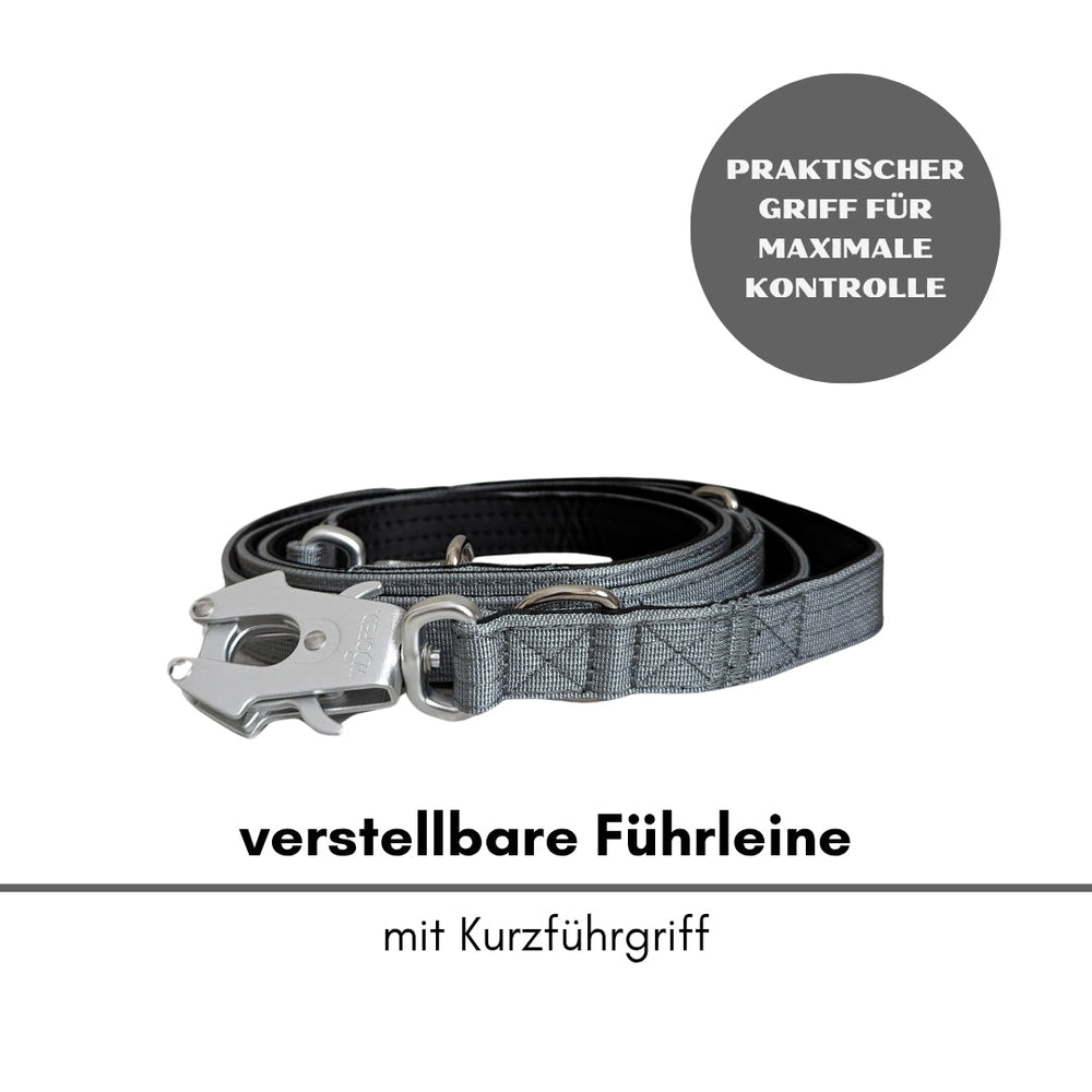 Verstellbare Hundeleine aus Nylon mit Kurzgriff und stabilem Froschkarabiner für optimalen Halt und Kontrolle.