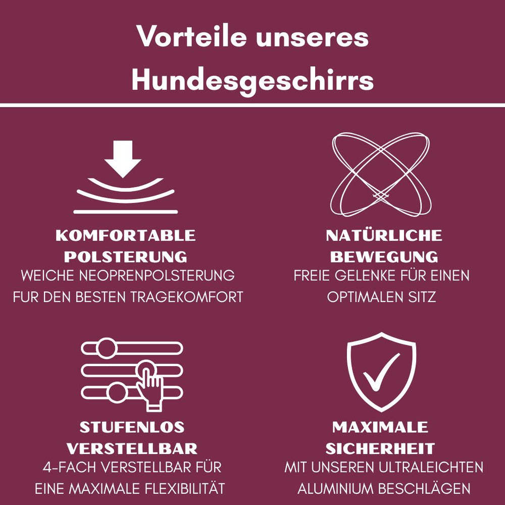 Grafische Darstellung der Vorteile eines Y-Hundegeschirrs mit komfortabler Neoprenpolsterung und praktischem Griff.