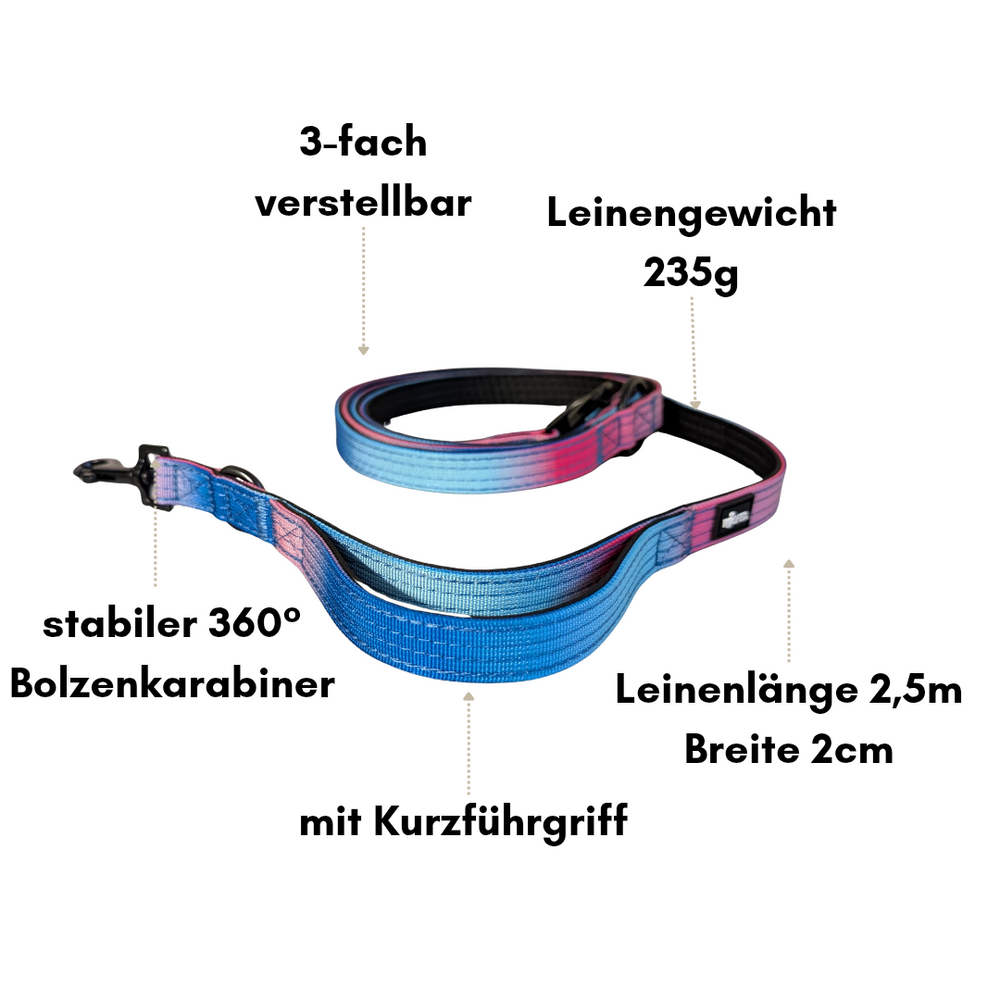 Nylon Führleine Classic in Blau-Pink mit 360° Bolzenkarabiner und Kurzführgriff, 2,5 m lang, robust und komfortabel.