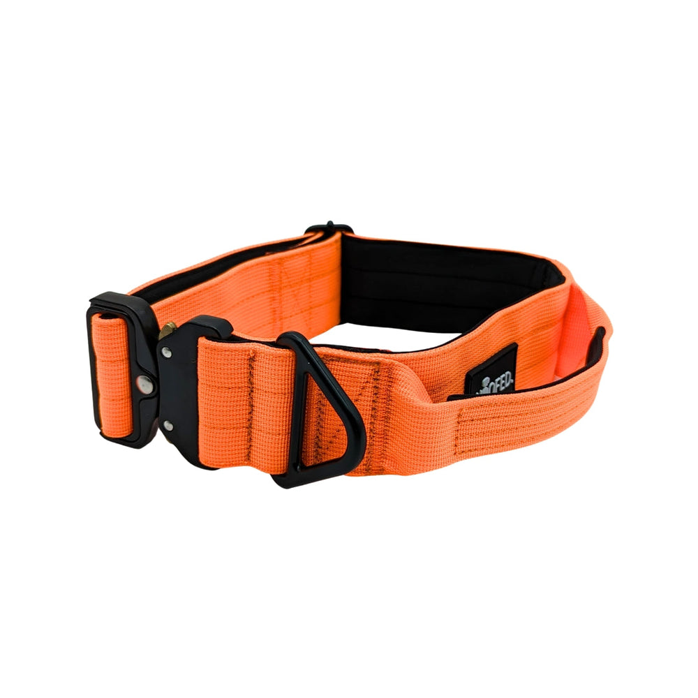 Taktisches Nylon Halsband in Orange mit Griff für Hunde, robust, gepolstert und sicher für Outdoor-Aktivitäten.