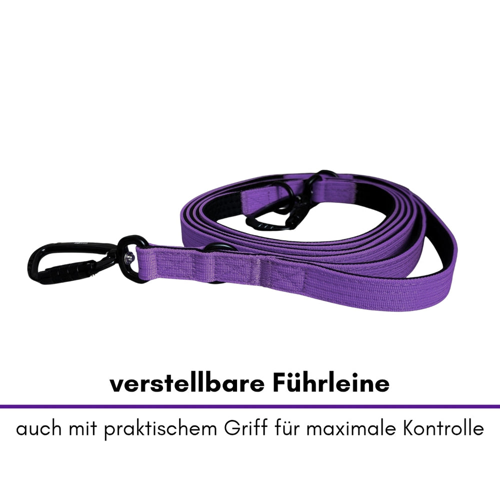 Verstellbare lila Führleine aus Nylon mit Sicherheitskarabiner und komfortablem Griff für beste Kontrolle.