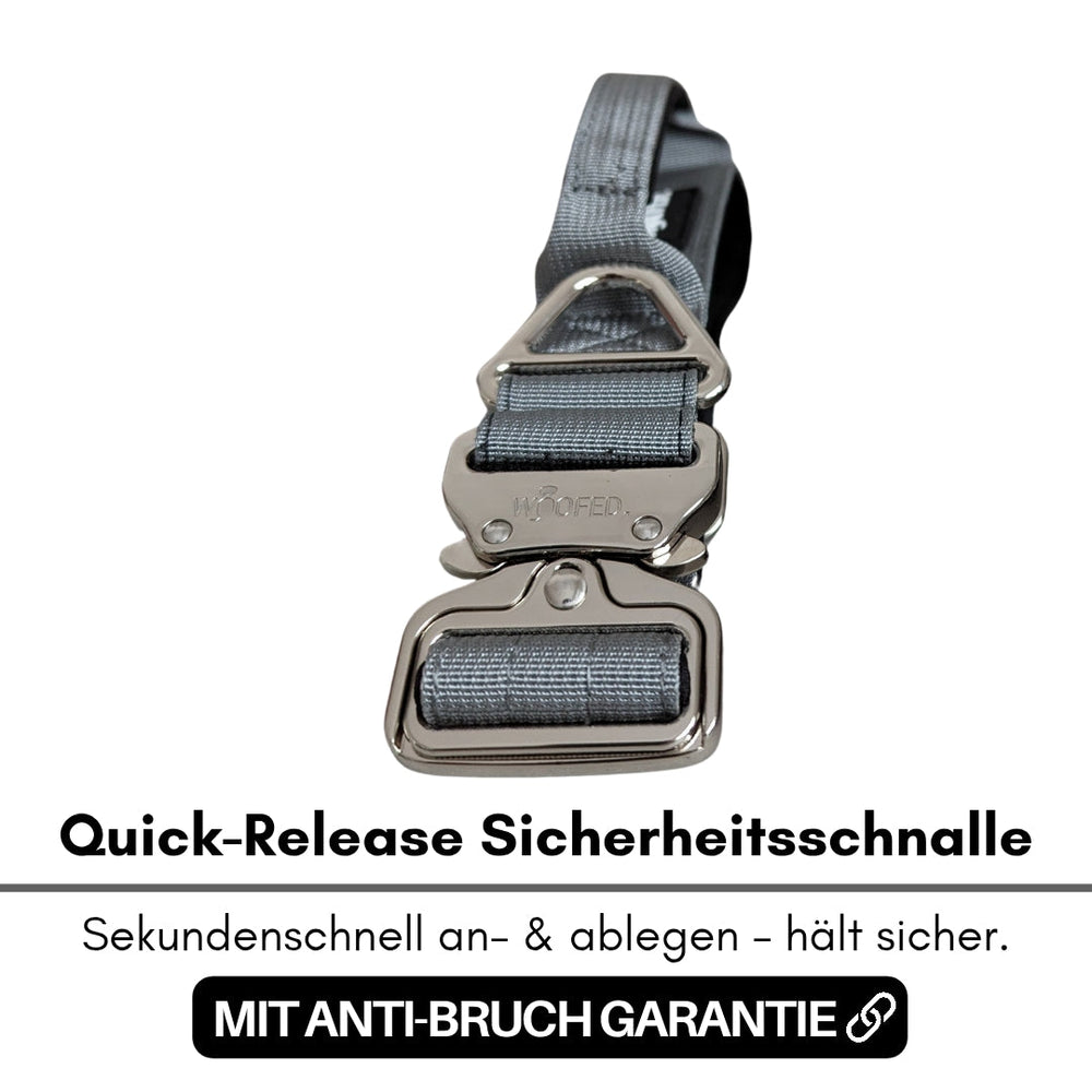 Halsband für kleine Hunde aus Nylon mit Aluverschluss und sicherer Quick-Release Schnalle, grau.