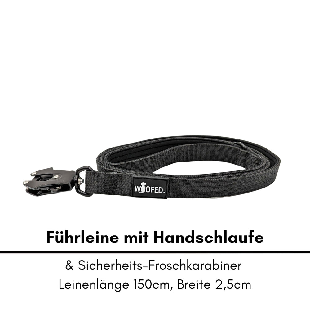 Ultraleichtes schwarzes Nylon Halsband-Leine-Set mit 150 cm Führleine und Sicherheits-Froschkarabiner.
