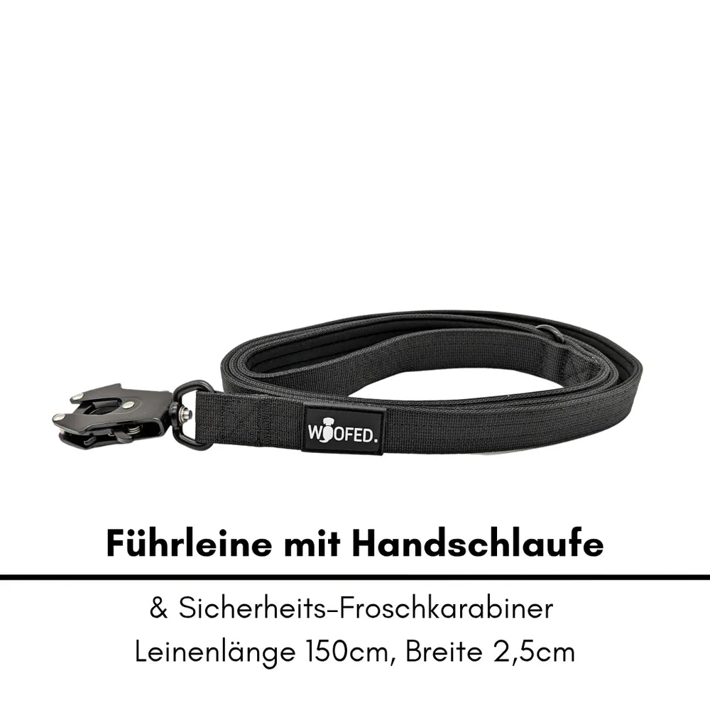 Nylon Halsband-Leine-Set ultraleicht in Schwarz, 150 cm mit Handschlaufe und Sicherheitskarabiner für Hunde.