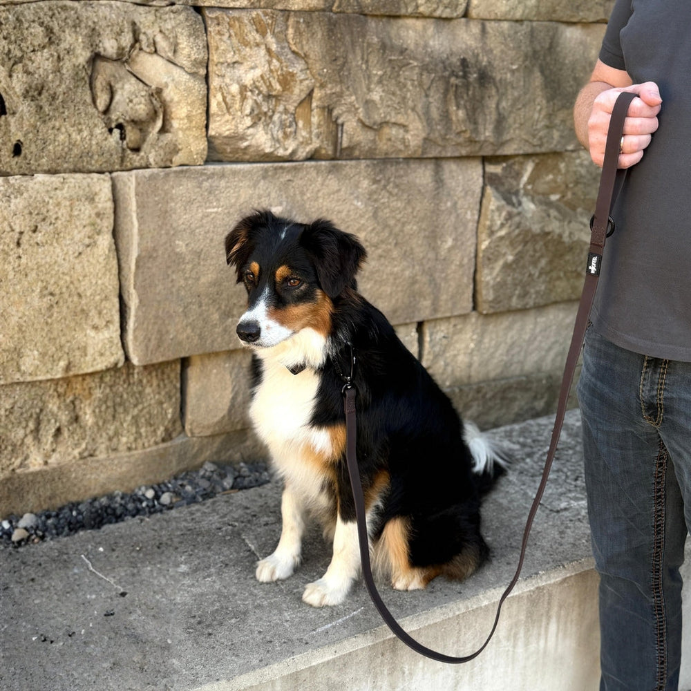 Schwarz-brauner Hund mit WOOFLEX® Pro Leine sitzt aufmerksam neben seinem Besitzer an einer Betonkante.