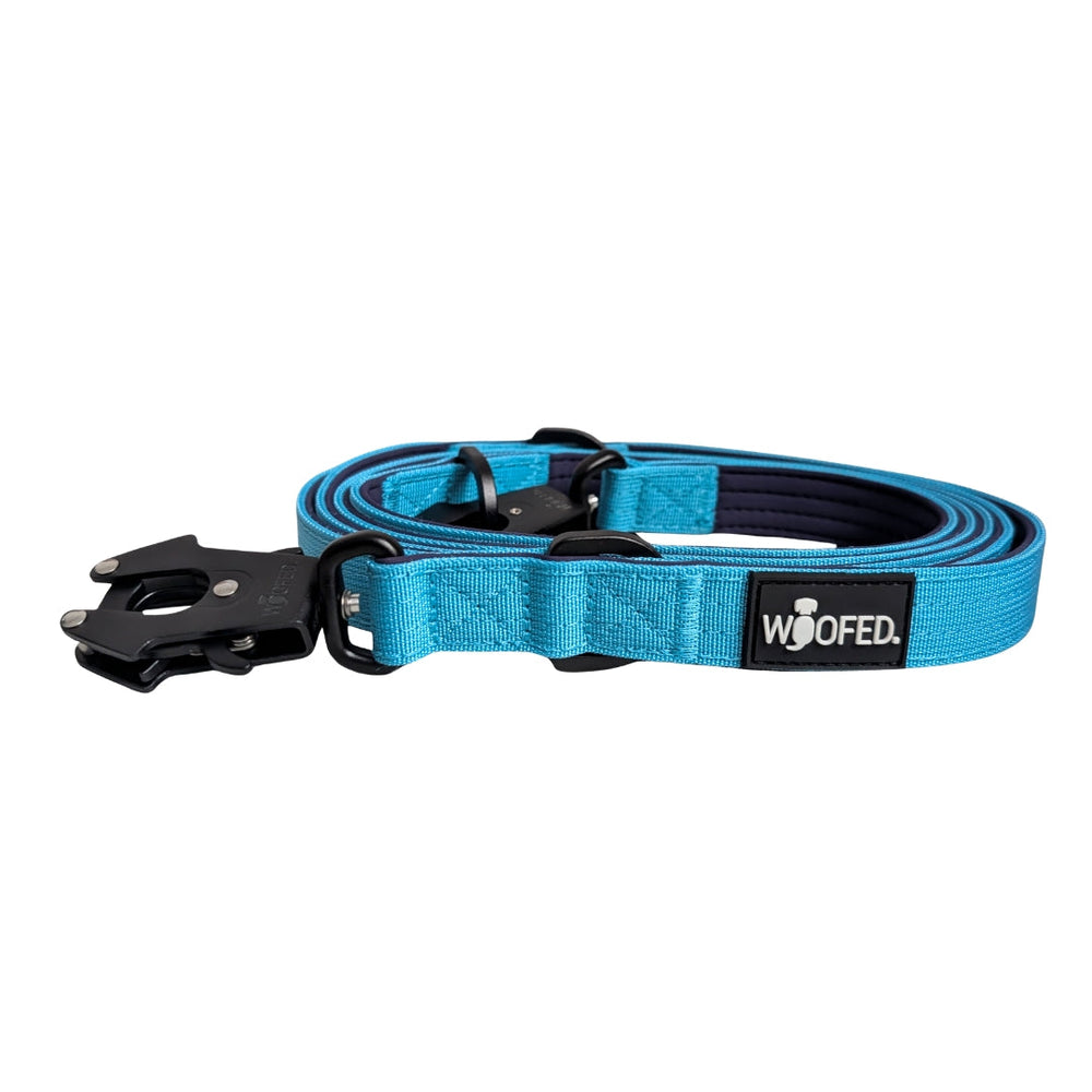 Hundeführungsschlaufe in leuchtendem Türkis mit robustem Froschkarabiner und WOO-Logo. Ideal für aktive Hunde.