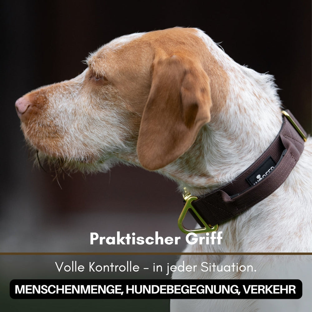 Braunes Nylon-Halsband mit Aluverschluss für kleine Hunde, ausgestattet mit praktischem Griff für optimale Kontrolle.