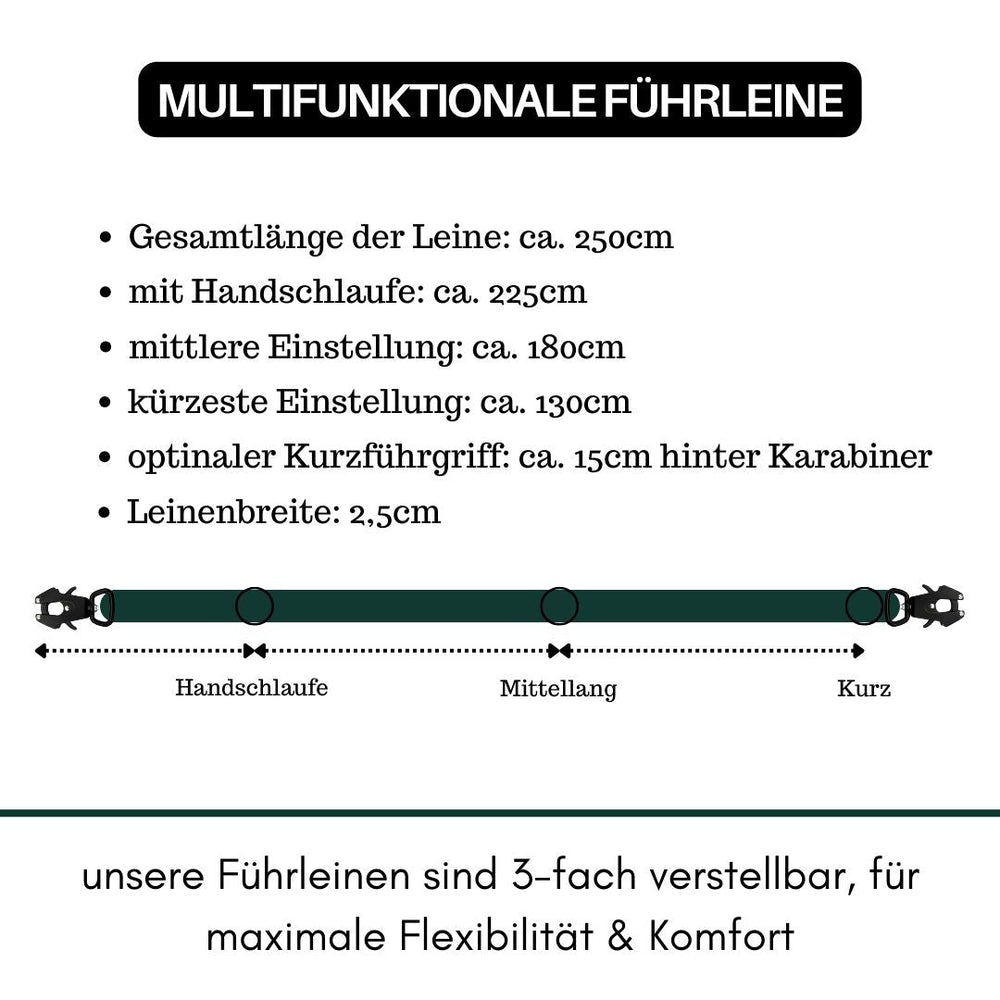 Multifunktionale Nylon-Führleine mit Froschkarabiner, Gesamtlänge 250 cm, Handschlaufe 225 cm. Ideal für Hunde.