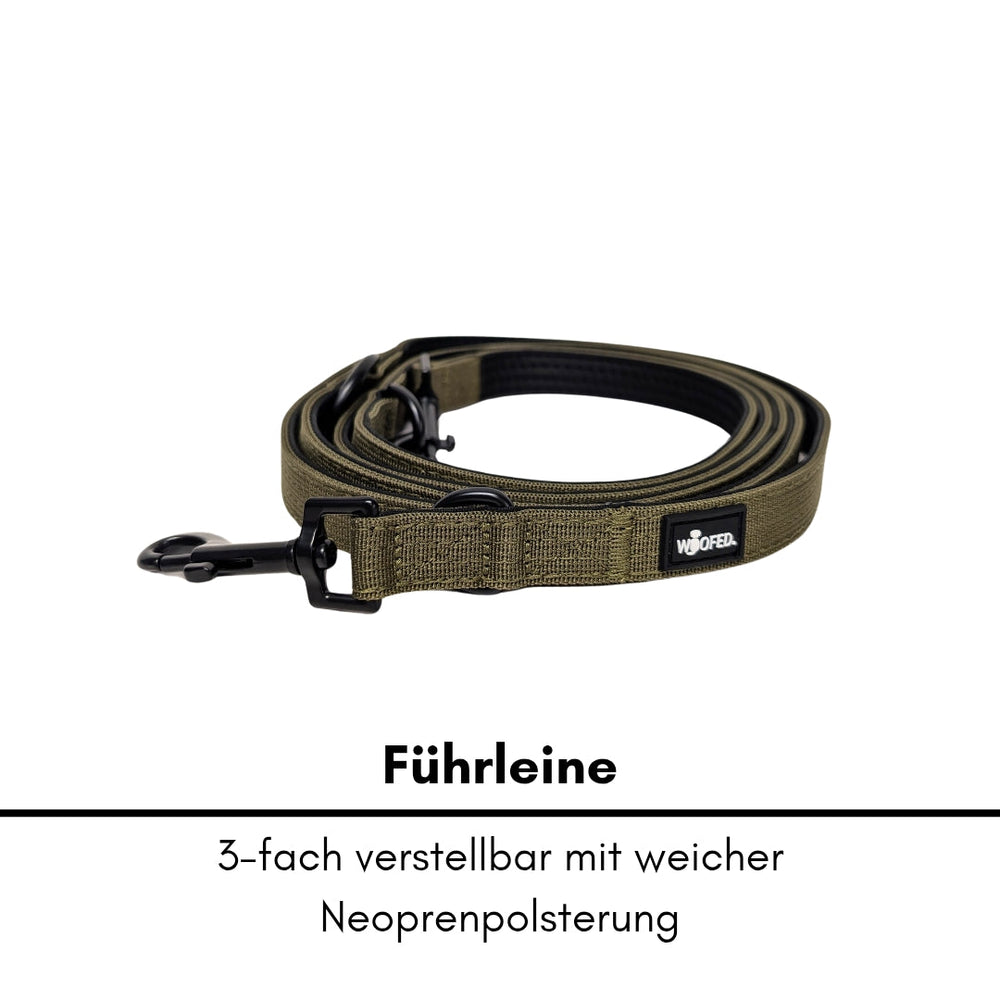 Grüne dreifach verstellbare Nylon Führleine mit weicher Neoprenpolsterung und Karabinerhaken. Ideal für Hundehalter.