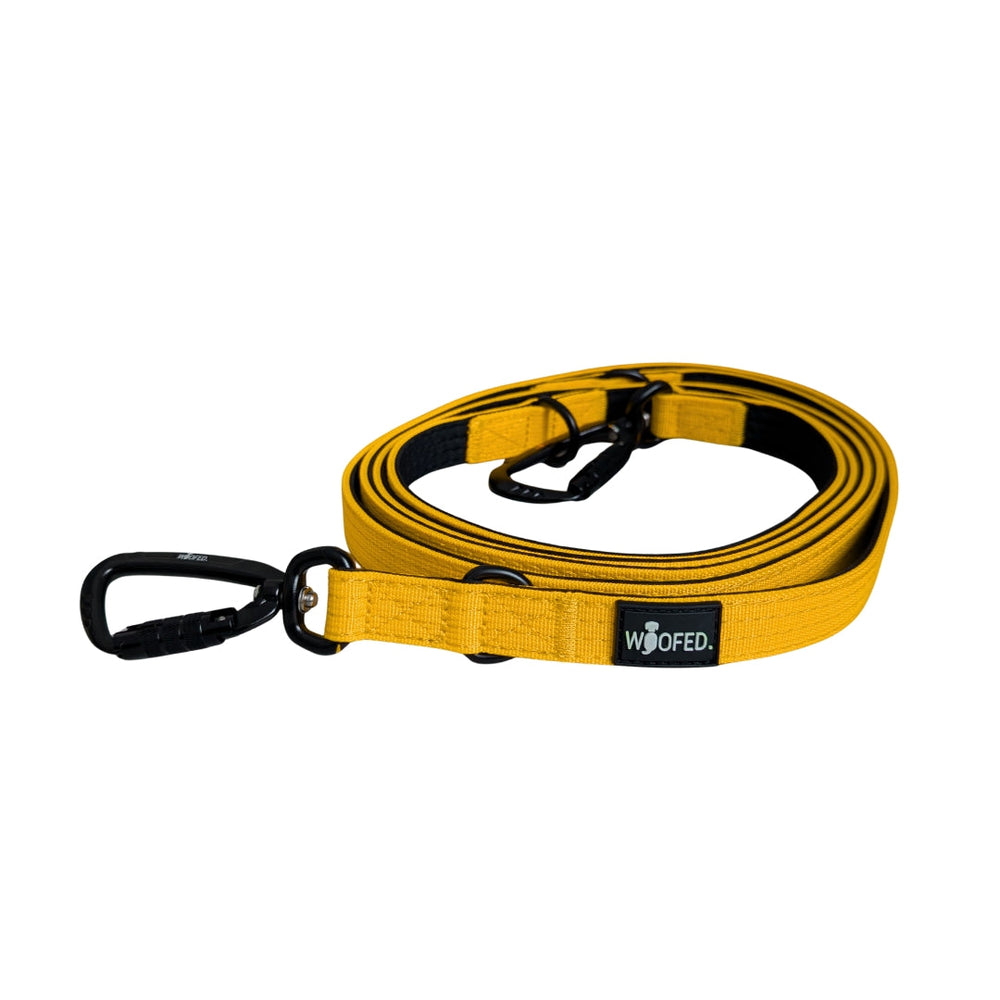 Hundeleine aus Nylon mit Karabinerhaken in Gelb und Schwarz, ideal für sichere Spaziergänge mit Ihrem Hund.