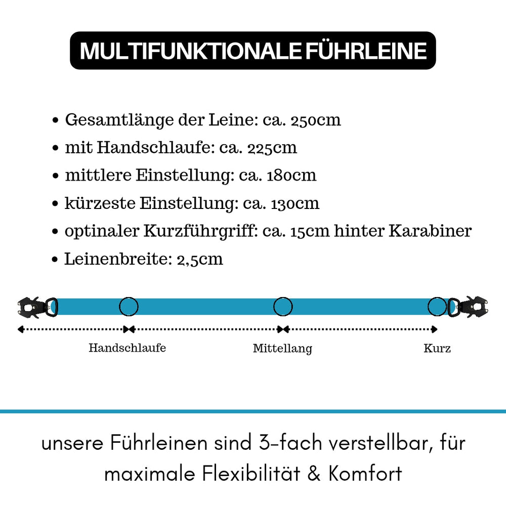 Einstellbare Führleine aus Nylon mit Froschkarabiner und drei Längen bis 250 cm für optimalen Komfort und Sicherheit.