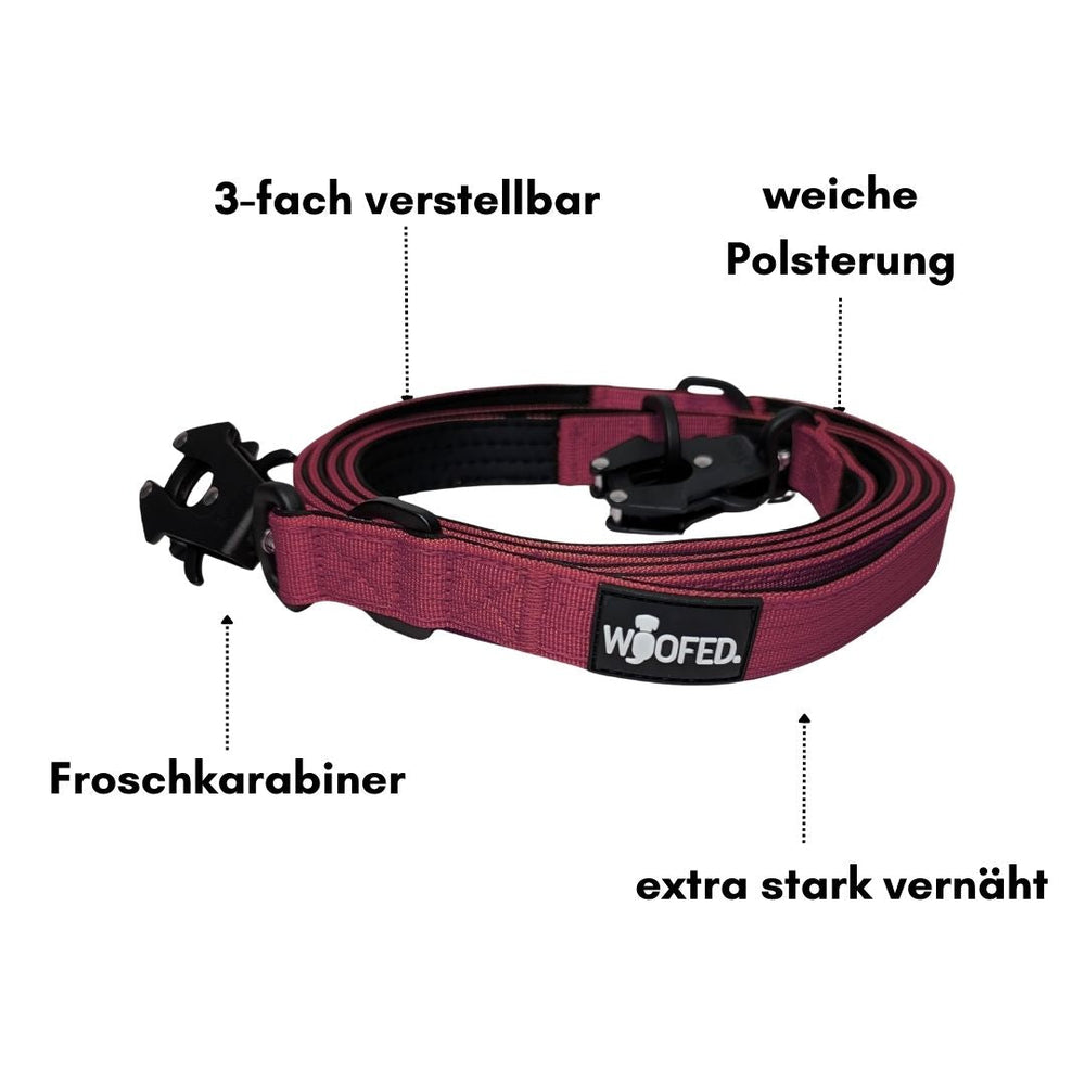 Verstellbare rosafarbene Hundeleine mit weicher Polsterung und starken Froschkarabiner für sicheren Halt.