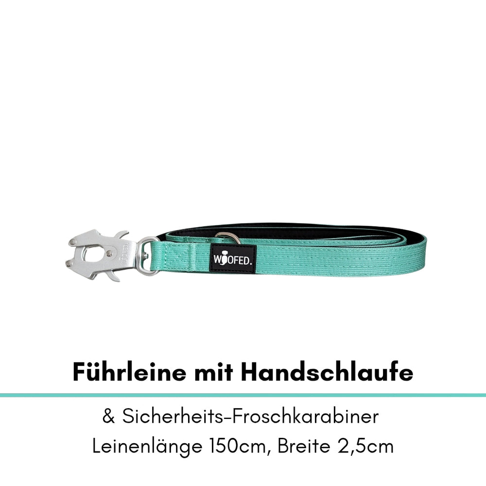 Mintgrüne Führleine aus Nylon mit Handschlaufe, 150 cm lang, 2,5 cm breit und sicherem Froschkarabiner.