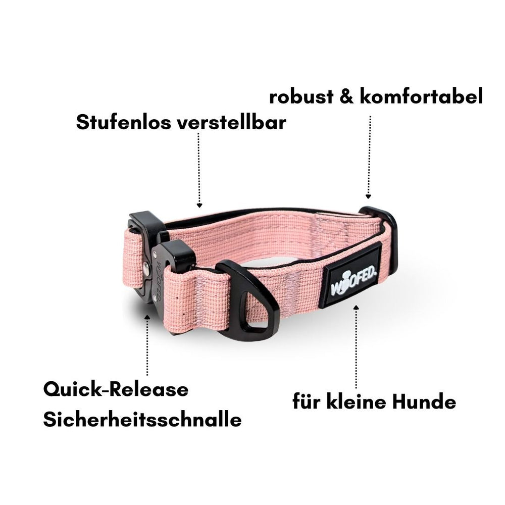 Ultraleichtes, rosa Nylon-Halsband für kleine Hunde mit verstellbarem Griff und sicherer Quick-Release Schnalle.