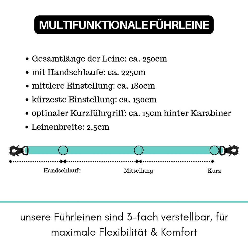Multifunktionale Nylon-Führleine mit Froschkarabiner und verstellbaren Längen von 250 cm, 225 cm und 180 cm.