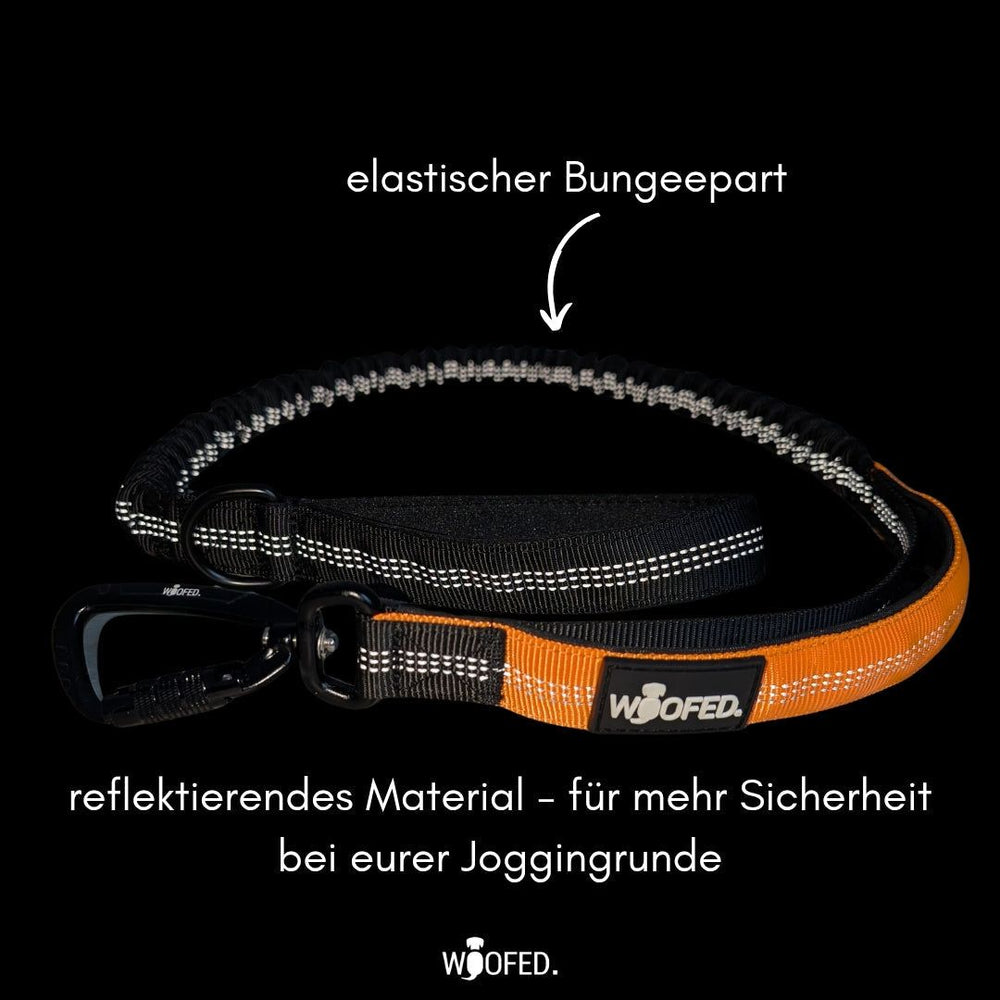 Jogging- und Wanderleine in orange und schwarz mit reflektierenden Elementen und elastischem Bungee für optimale Sicherheit.