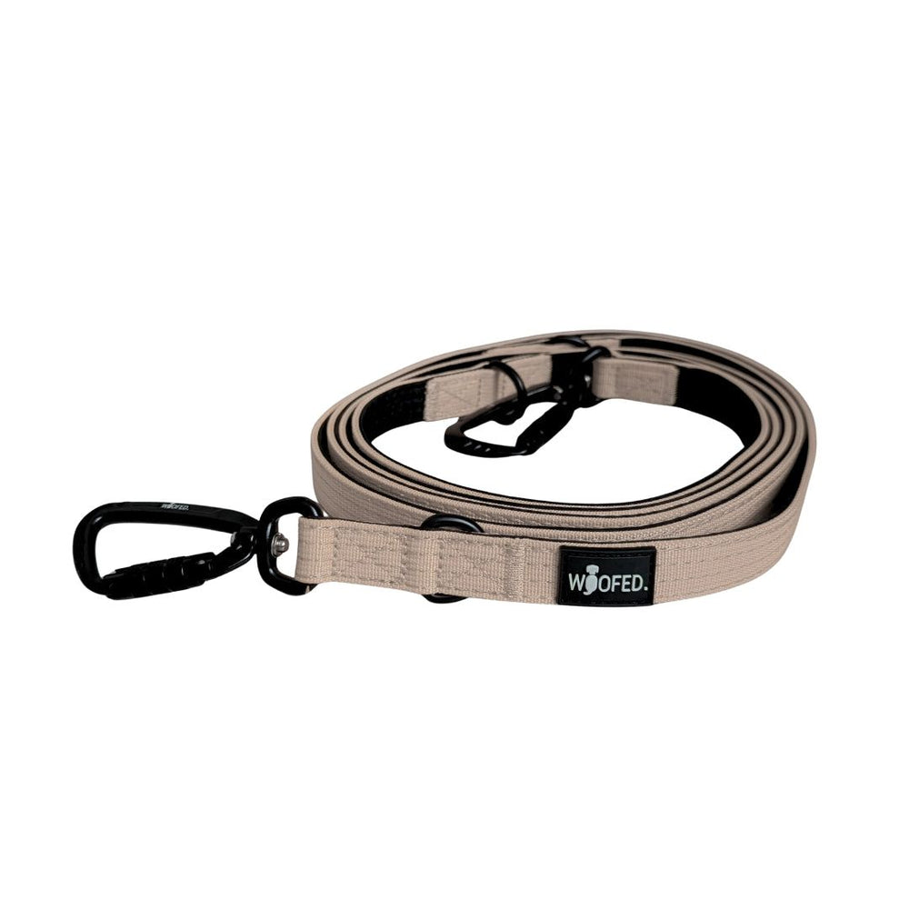 Beige Hundeleine aus Nylon mit robustem Karabinerhaken zur sicheren Befestigung am Geschirr oder Halsband.