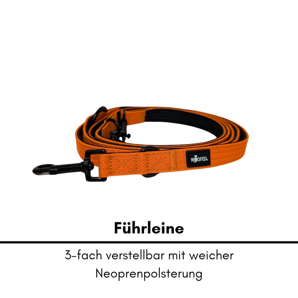 Dreifach verstellbare orange Nylon Classic Führleine mit weichem Neoprenpolster für hohen Komfort und Sicherheit.