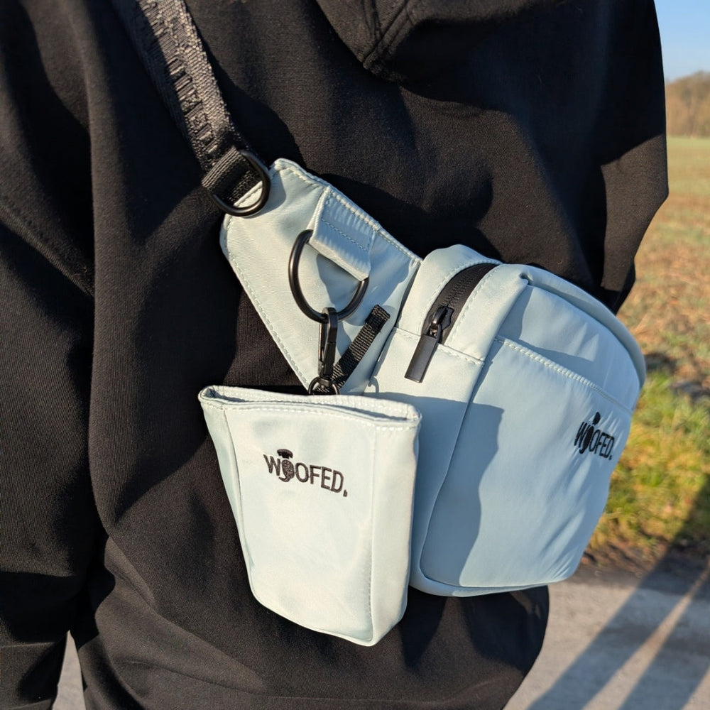 Hellblaue multifunktionale Gassitasche als Bauchtasche und Schultertasche mit mehreren Fächern für optimale Organisation.