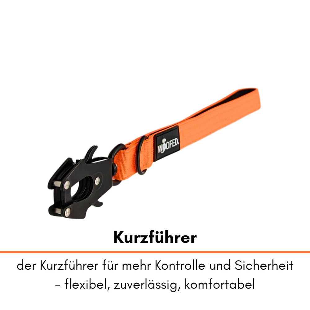 "Oranger Hunde-Kurzführer aus Nylon mit stabilem schwarzen Karabiner für mehr Kontrolle und Sicherheit."