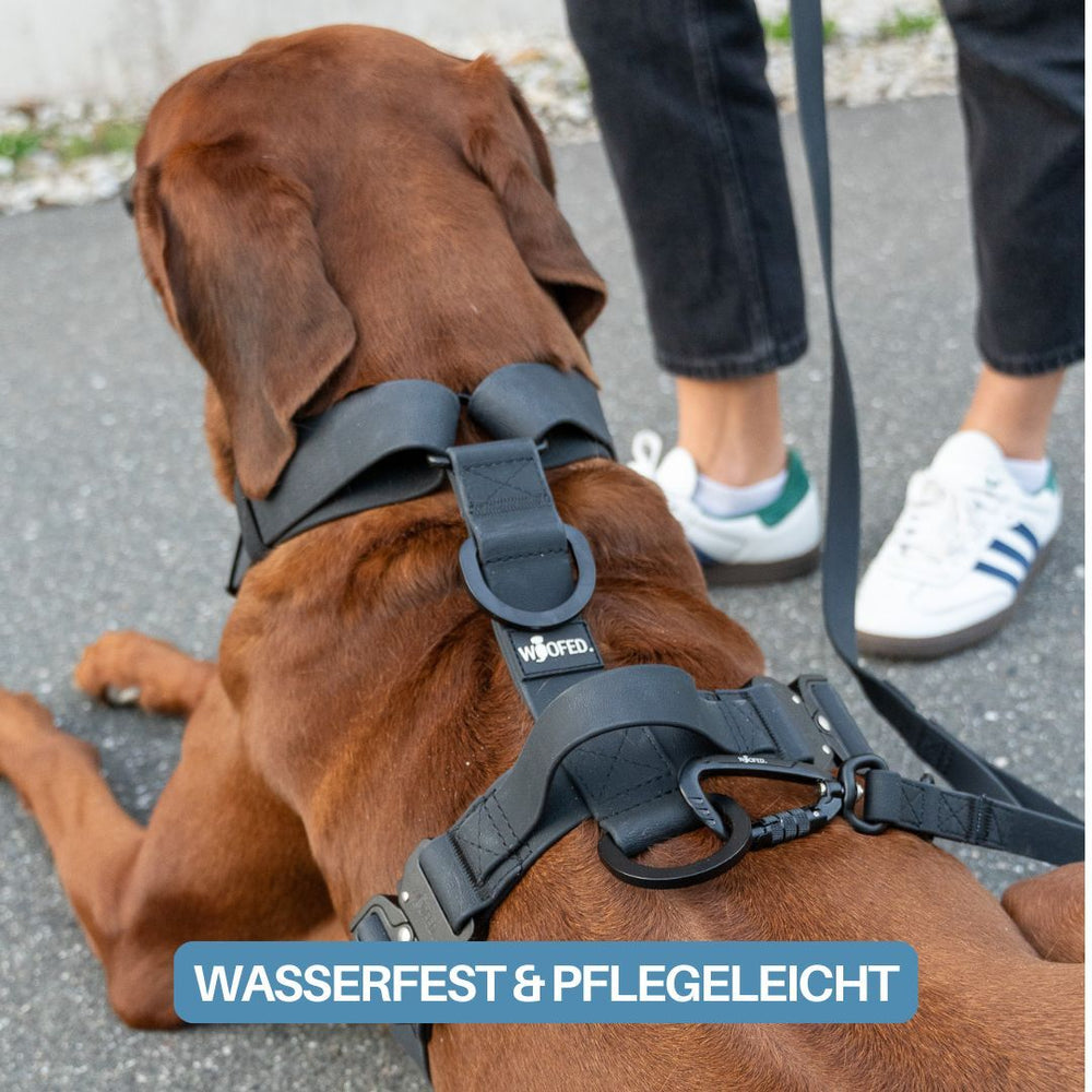 Schwarzes Y-Hundegeschirr WOOFLEX® mit Griff, ideal für aktive Hunde, wasserdicht und pflegeleicht im Freien.
